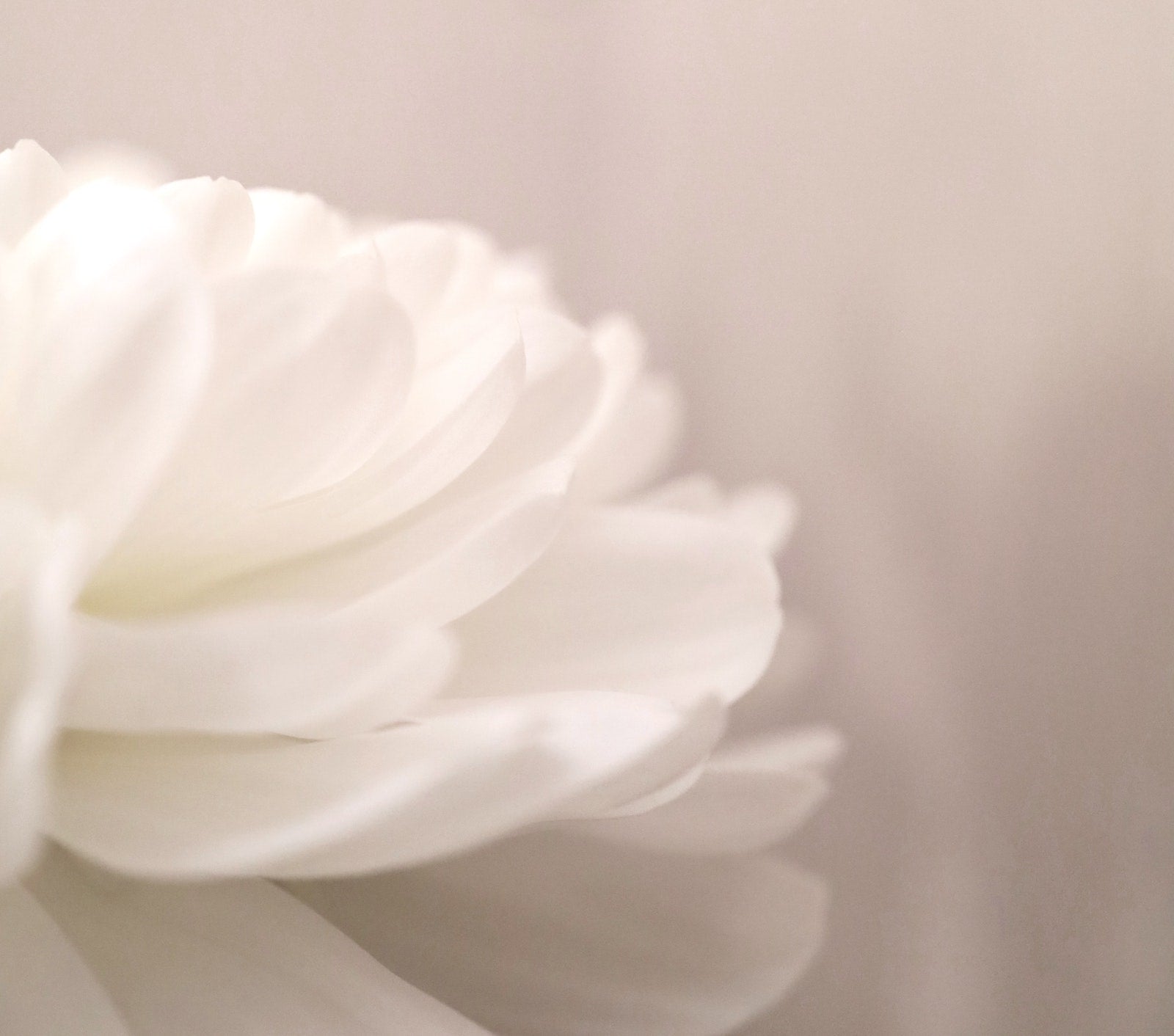 如何增加皮膚彈性緊緻度及防止皮膚鬆弛