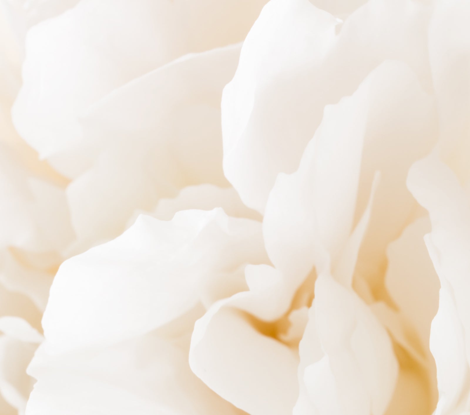 Why The Lipid Barrier Is The Key To Skin Health | Ambrosia | Hong Kong