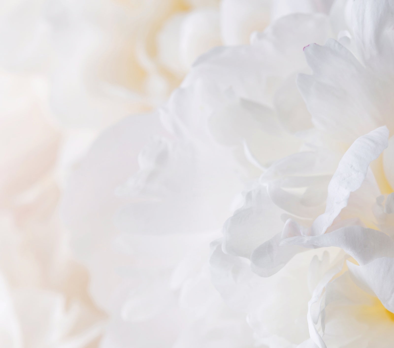 Common Face Cleansing Mistakes Everyone Makes | Ambrosia | Hong Kong