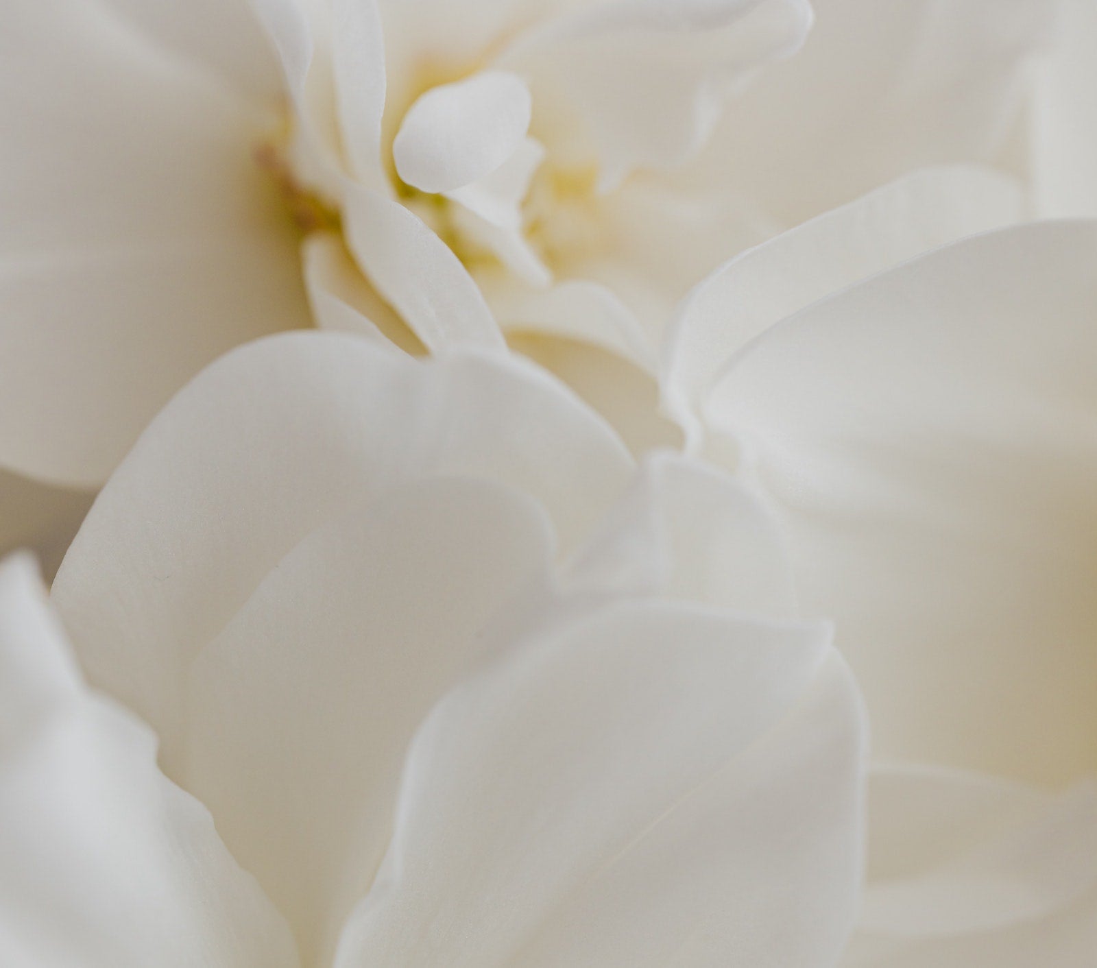 How To Improve and Prevent Eye Wrinkles | Ambrosia | Hong Kong