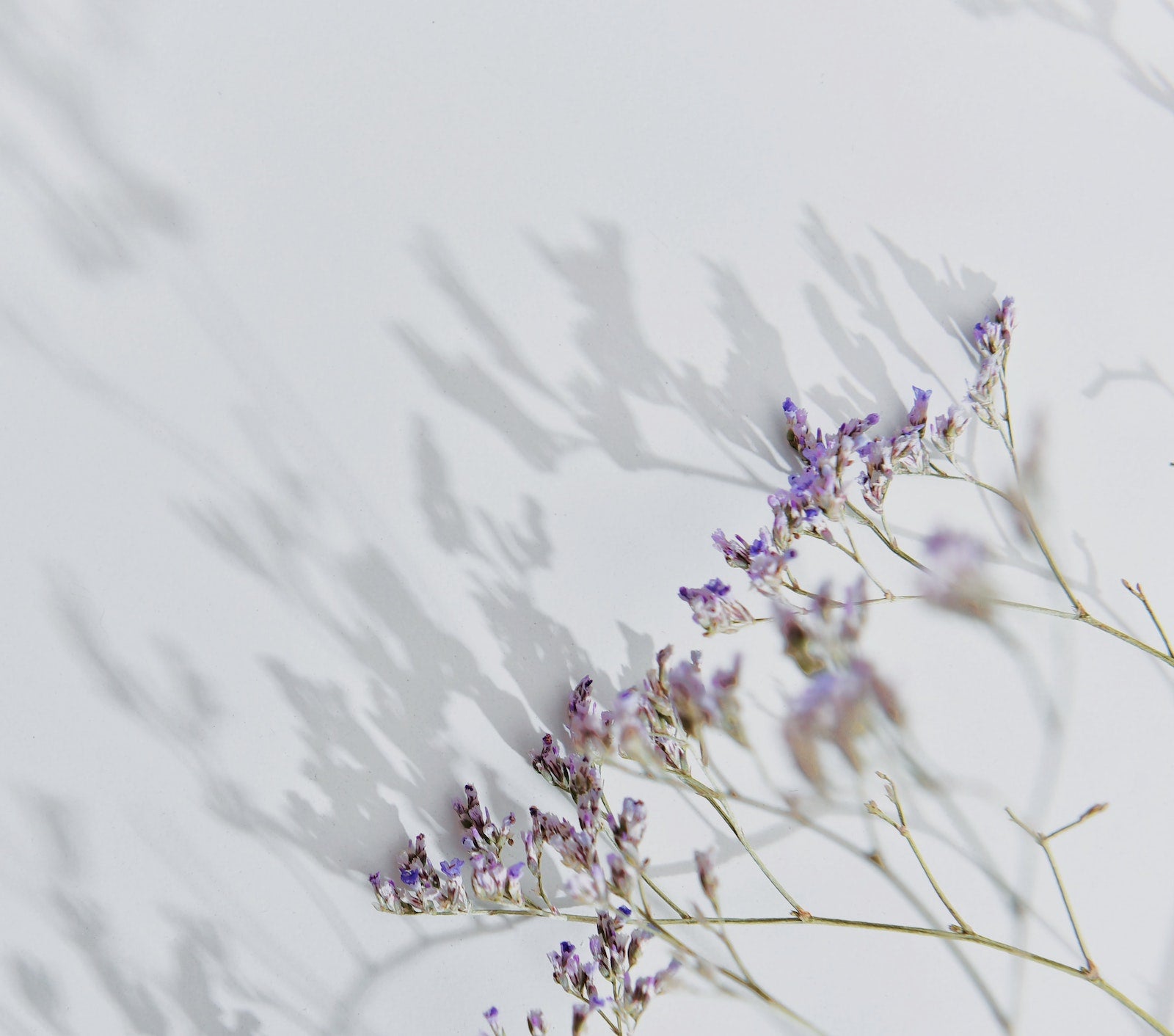 Why You Should Always Cleanse In The Morning | Ambrosia | Hong Kong