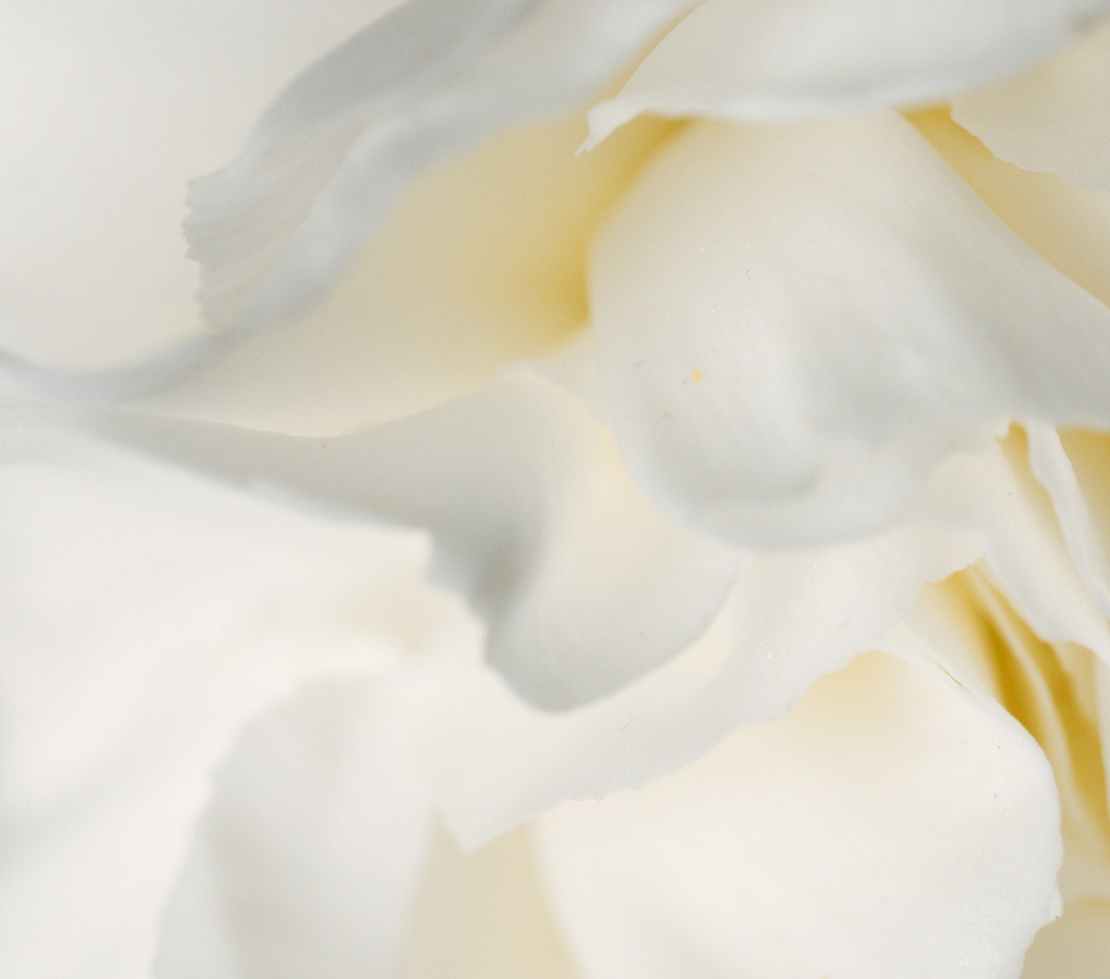 8 Essential Skincare Tips for Eczema | Ambrosia | Hong Kong