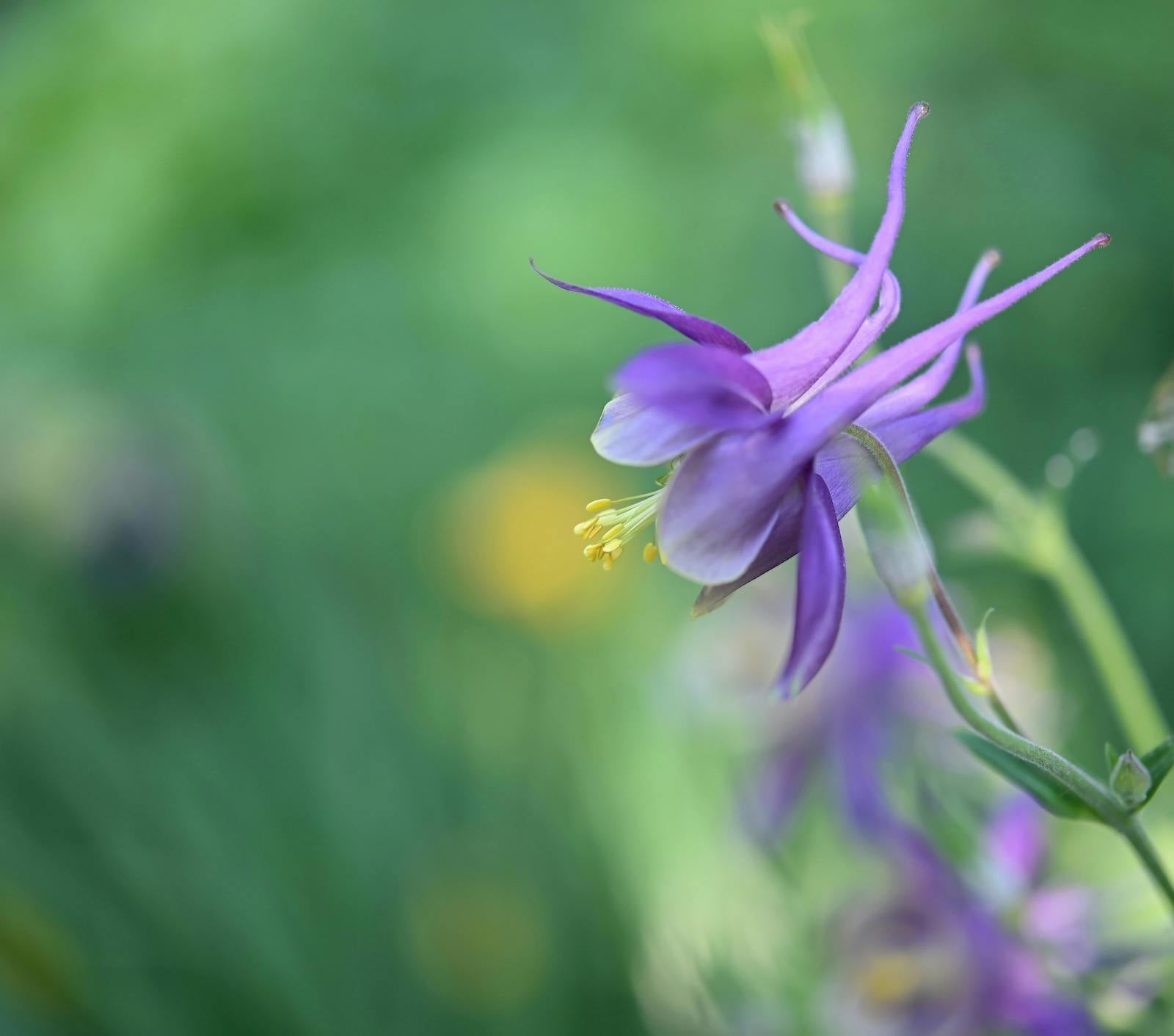 大熱「外泌體」護膚！外泌體究竟是什麼？有什麼護膚效能？