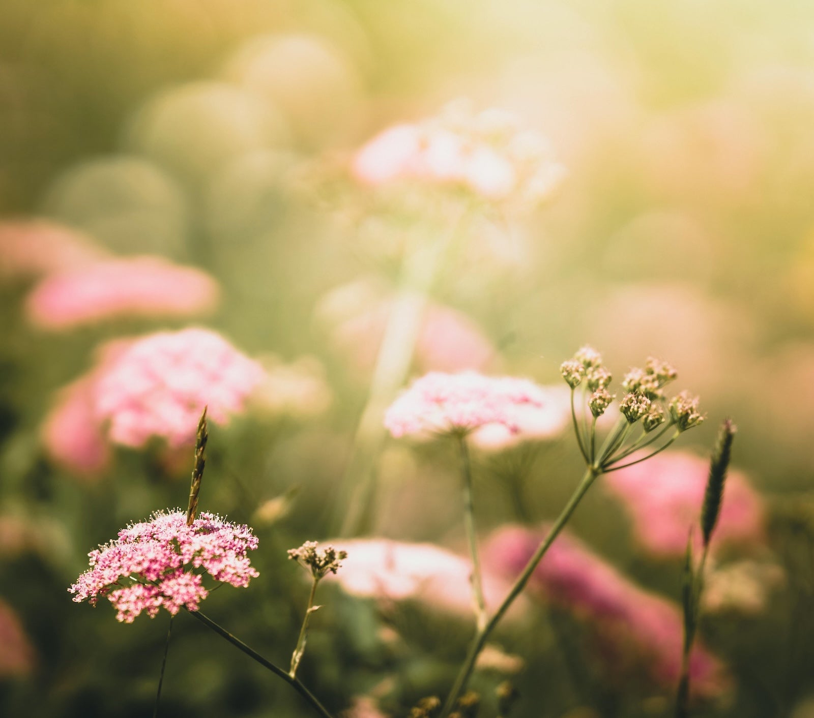 乾燥泛紅、敏感痕癢、發炎濕疹？這是皮膚屏障在求救！