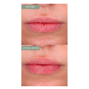 Anfisa Skin ÂN-GLOSS™ Ceramide Lip Treatment 神經酰胺胜肽修護抗老唇蜜  | Ambrosia | 香港