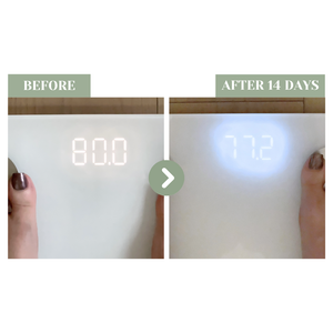 SHEGAIA Berberine Plus 天然減脂控糖去腫纖體丸 | Ambrosia | 香港