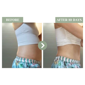 SHEGAIA Berberine Plus 天然減脂控糖去腫纖體丸 | Ambrosia | 香港